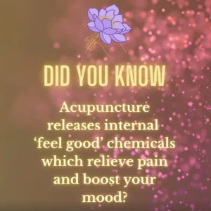 Read more about the article Acupuncture & Your Well-being: Through the Looking Glass